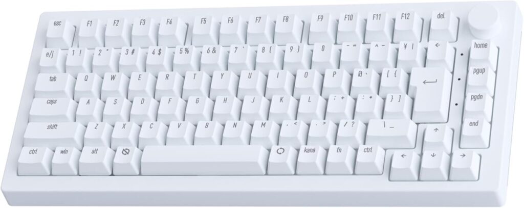 ラピッドトリガー キーボードのおすすめ15選！設定やVALORANTの相性を徹底解説！